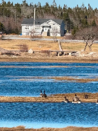 Beautiful coastal south shore NS