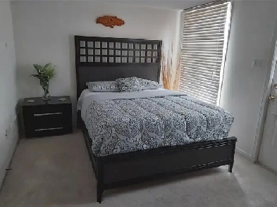 One private furnished luxury bedroom for $60 daily rate rental.