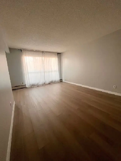 Large Renovated Two Bedroom Unit near UofA, Furnish Optional Image# 1