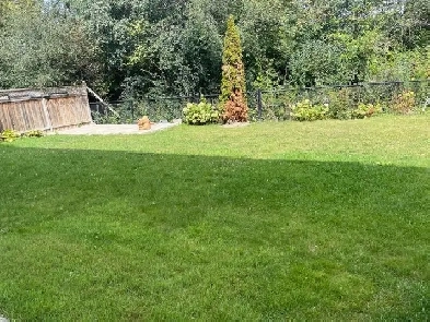 Two Bedroom Walkout Basement for Rent in Brampton Image# 1