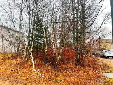 Lot Jordan-Moncton, NB E1C 0S5 Image# 1