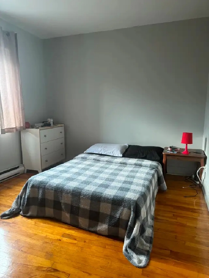 Joli 3 1/2 Quartier Villeray in City of Montréal,QC - Apartments & Condos for Rent