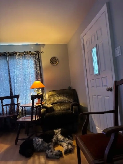 Très Grande chambre à louer Image# 3