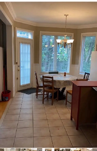 basement bedroom for rent Image# 1