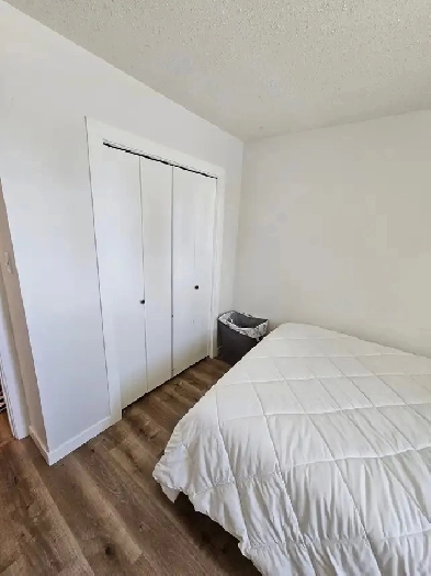 one bed one bathroom apartment in gull lake SK Image# 2