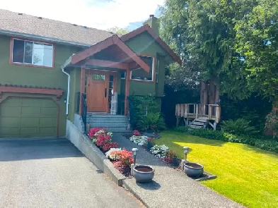 Updated 4 bedroom house Image# 19