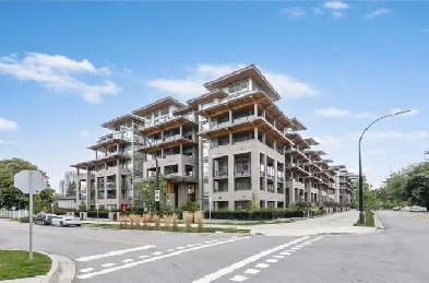 Furnished newly built 2 bed 2 bath Image# 1