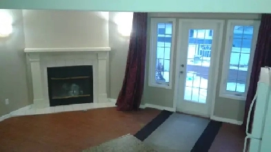 Spacious Split Level One Bedroom Basement suite with Fireplace Image# 1