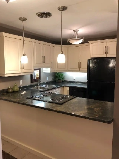 Furnished 1-Bedroom Apartment, Sarnia – Avail. May 1st-$1700!