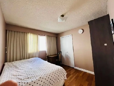 Beautiful bedroom for rent near Nanaimo Station Image# 1