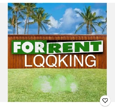 LQQKING to RENT Image# 1