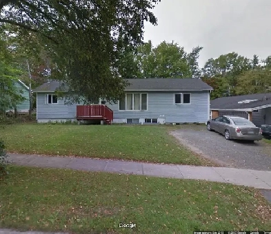 Rooms available for rent at 792 Windsor Image# 1