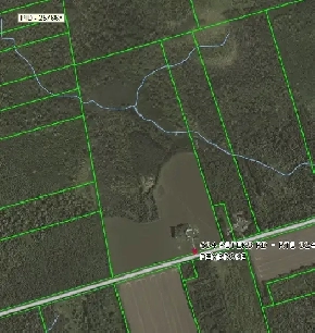 50 Acres For Sale Image# 8