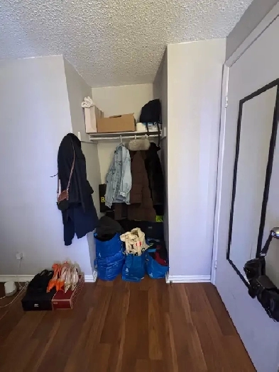 Private room for rent in Waterloo Image# 1