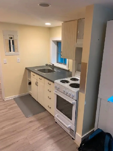 Spacious 2 Bedroom Basement Suite Image# 1