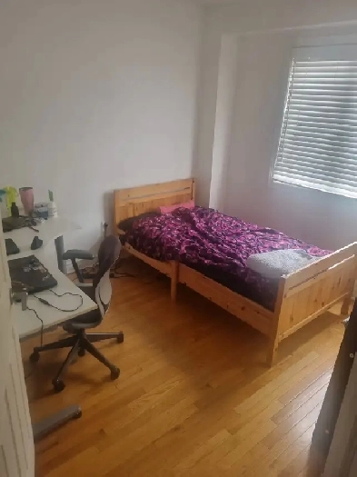 Private room for rent Image# 1