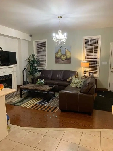 Elegant Room Next York University Near Finch W Sub Station Rent Image# 1