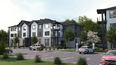 Le Kingham 5 1/2 Image# 1