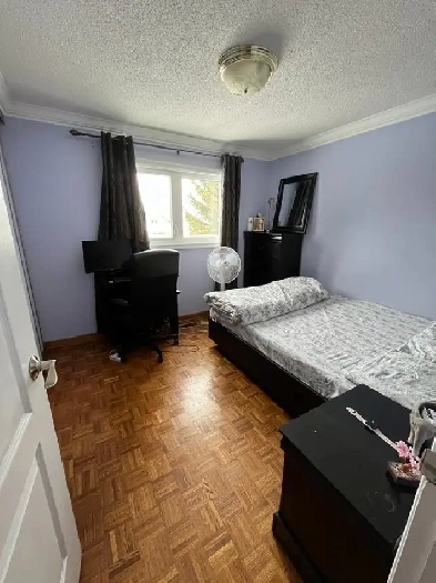 Private Room for Rent – Main Floor girl only Image# 1