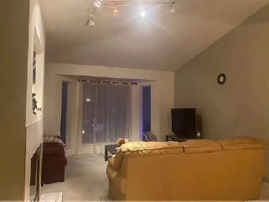 Roommate Wanted – 1 Bedroom Available Image# 3