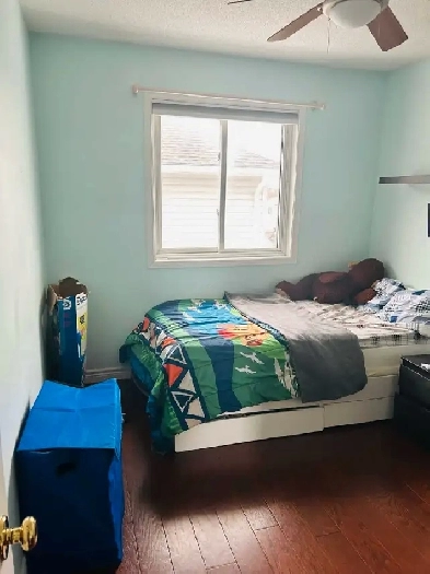 room for rent Image# 1