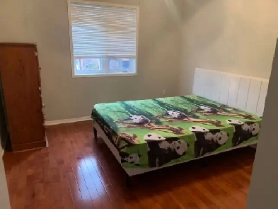 Room for rent Image# 1