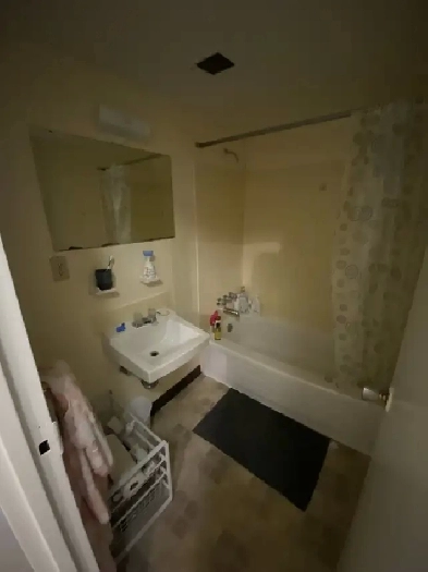 1 Bedroom Apartment Sublet/Lease takeover (May-September) Image# 4