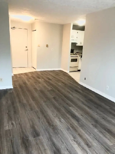 Uptown Waterloo Spacious Bachelor Apartment-Move in ready/May 1 Image# 1