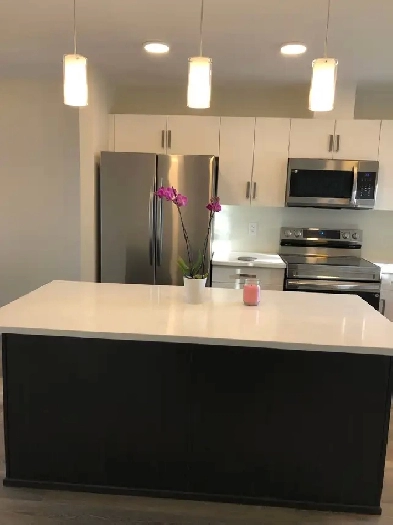 Brand New House For Rent/ CLOSE To U OF  M Image# 1