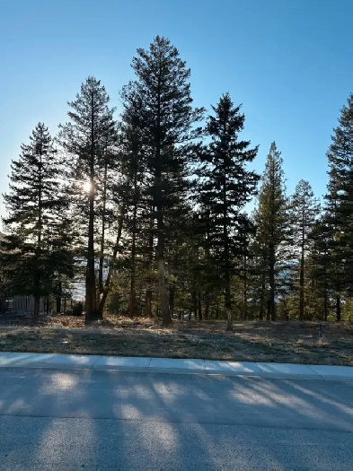 1513 Abel Ave, Cranbrook BC Image# 1