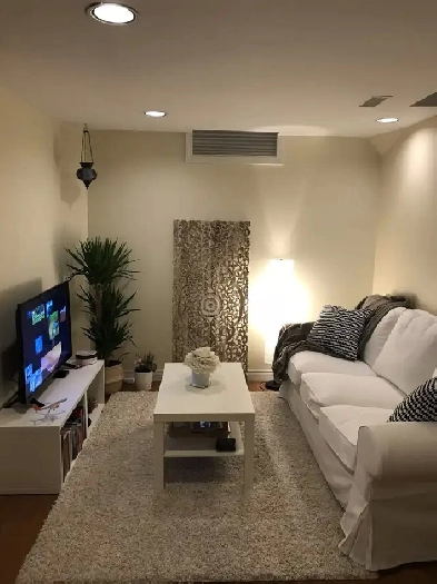 Mississauga 1 bedroom basement apartment for rent. Image# 1