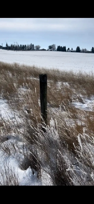 Acerage for sale(partners needed) Image# 1