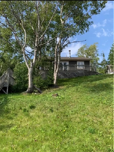 Cottage for sale Pinchgut Lake, Western NL Image# 4
