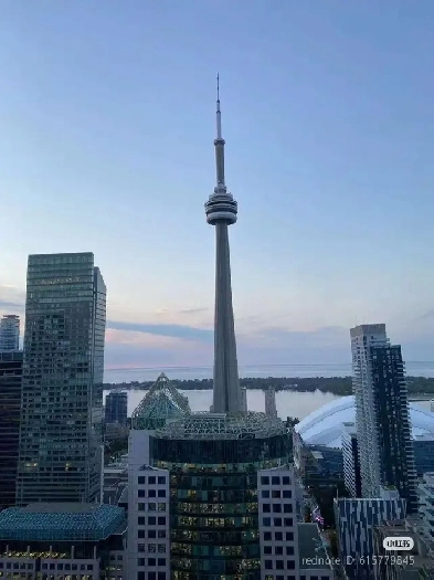 Direct Rental by Landlord – Downtown Toronto (99 John Street) Image# 1