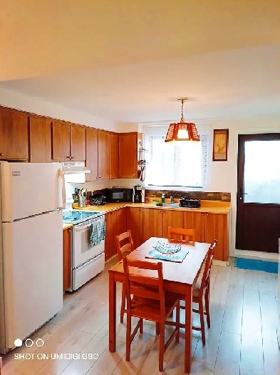 Bels et propres appartements meublés - location de courte durée Image# 5