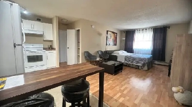 SHORT TERM RENTAL Bachelor Suite Location Location! River Valle Image# 1