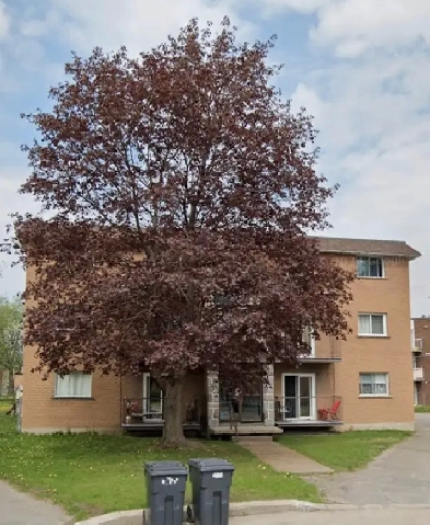 3 1/2 à louer à Saint-Jérôme Image# 1