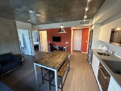 Furnished 2 bedroom 2bath condo. Close to line 2 O-train Image# 3