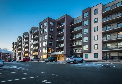 Large, bright, apartment for rent Image# 1