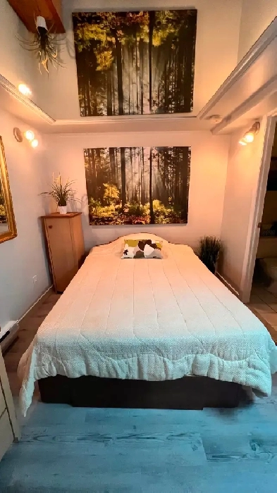 Chambre à louer Chomedey Laval Image# 1