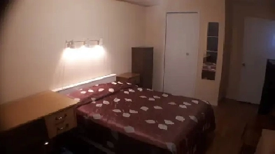 Furnished room with 1 roommate-250$/week:metro Angrignon Image# 1