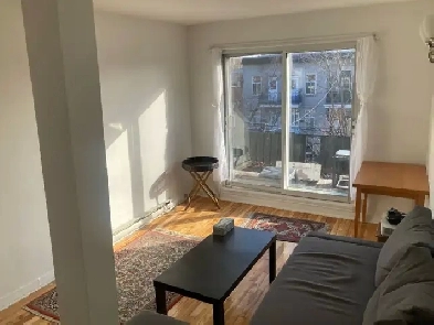 Beau 4 1/2 ensoleillé à louer du 17/4 au 23/8 dans le Mile End Image# 1