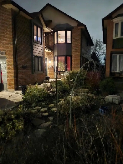 Bright Basement Apartment Image# 1