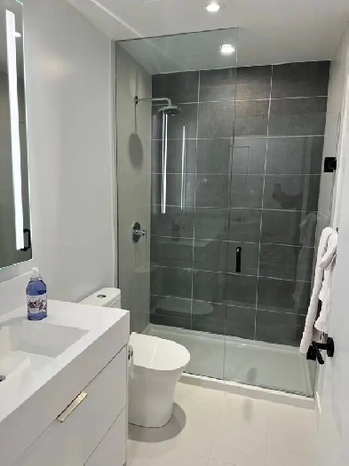 New Furnished Den in Executive Condo in Toronto’s Downtown Image# 1