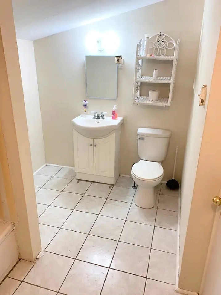 Room For Rent in an Apartment Downtown - Dog & Cat Friendly in Fredericton,NB - Room Rentals & Roommates