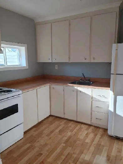 two bedroom apartment in Deer Lake Image# 2