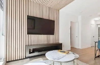 2BRs Fully Firnished in Yorkville  Utilities/Net/Cable Included Image# 4