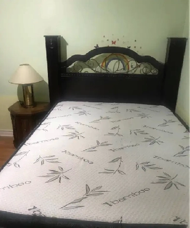 Basement One bedroom for rent Female only Image# 2