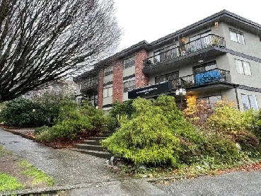 1 Bedroom Suite - Great location Image# 6