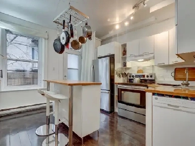Great apartment for rent 4 1/2 (2 bedrm) in Plateau Image# 8